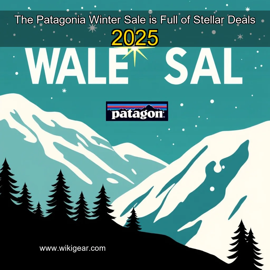 Read more about the article The Patagonia Winter Sale is Full of Stellar Deals  2025